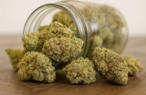 A close-up of cannabis buds spilling from a glass jar onto a wooden surface.