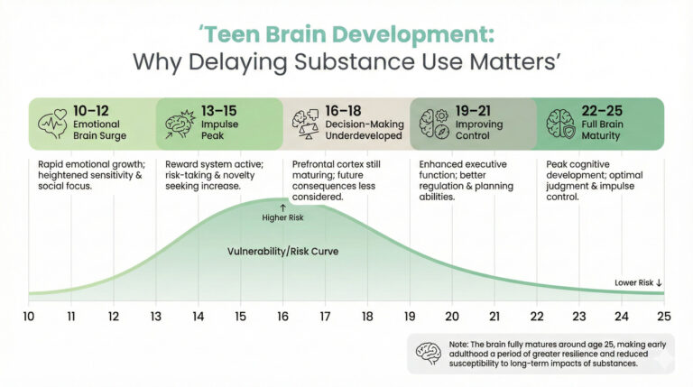 Teen Brain